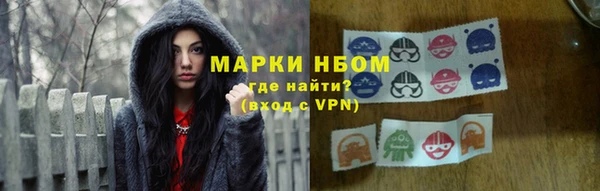 амф Краснослободск