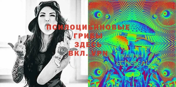амф Краснослободск