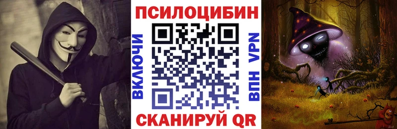 Псилоцибиновые грибы Cubensis Купить Евпатория